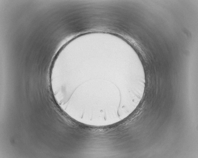 X0000115521230200912181459