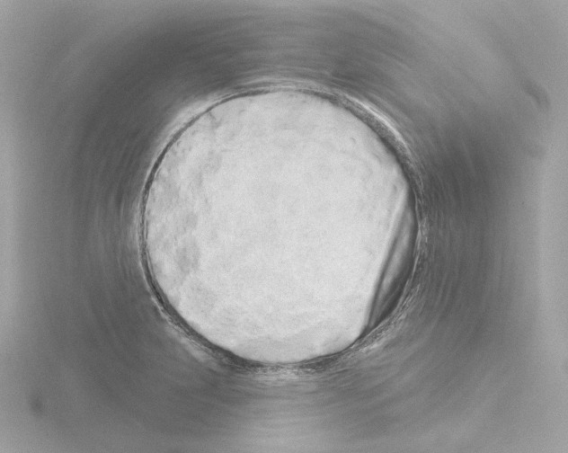 X0000115521231200912181500