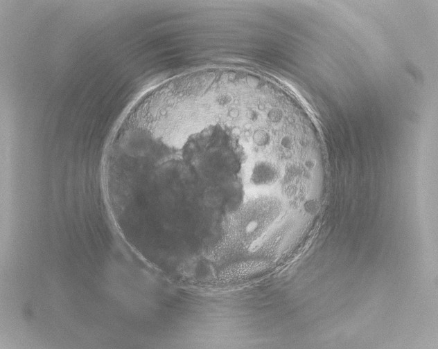 X0000115521235200912181500