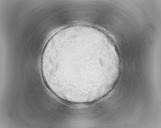 X0000115521239200912181500