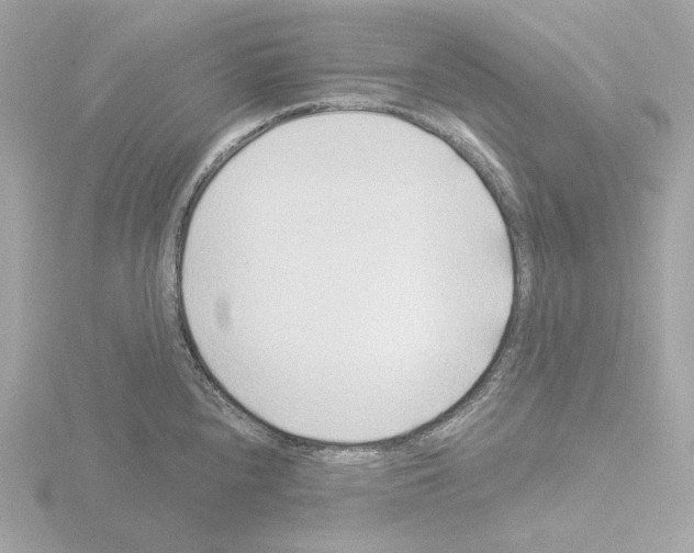 X0000115521240200912181500