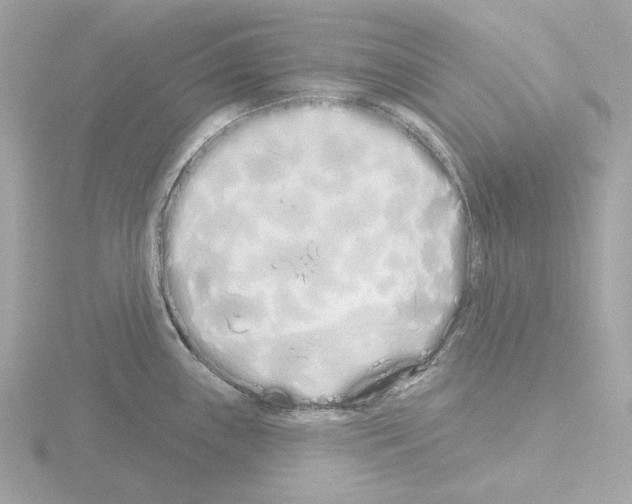 X0000115521243200912181500