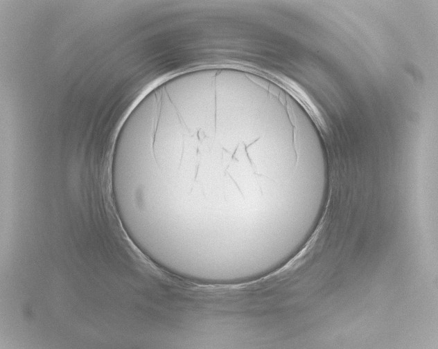 X0000115521244200912181500