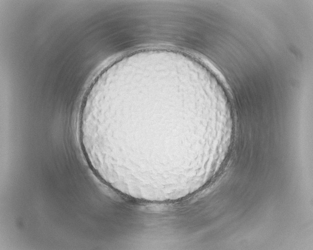 X0000115521245200912181500