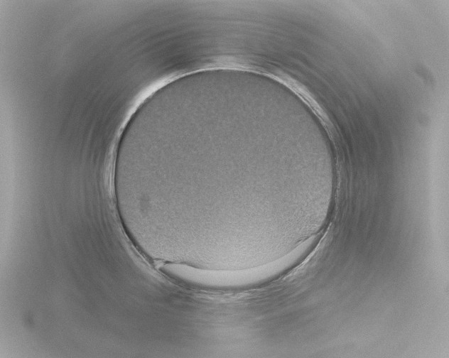 X0000115521246200912181500