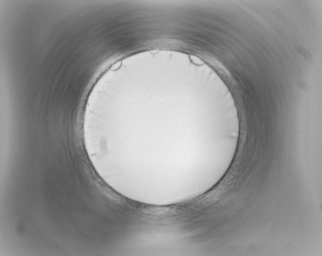 X0000115521248200912181500