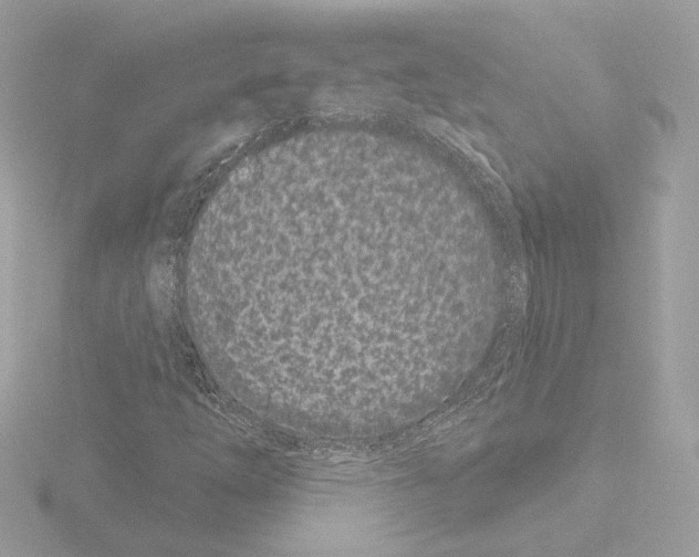 X0000115521254200912181459