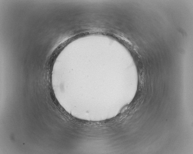 X0000115521255200912181459