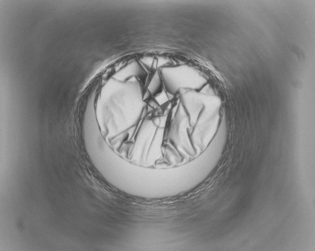 X0000115521256200912181459