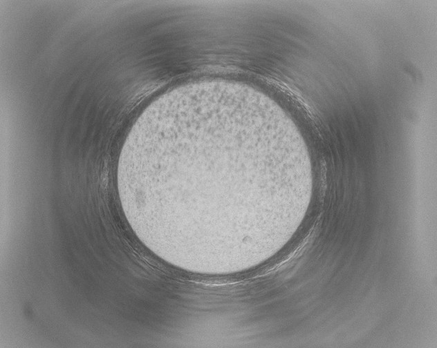 X0000115521257200912181459