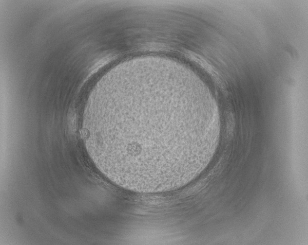 X0000115521258200912181459