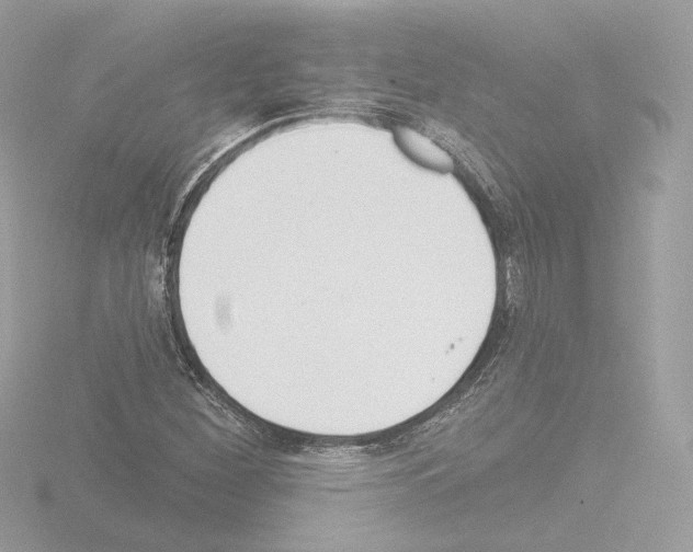 X0000115521260200912181459