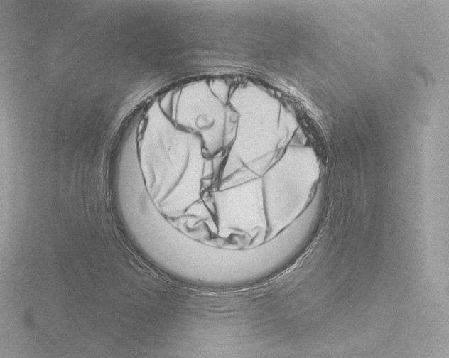 X0000115521261200912181459