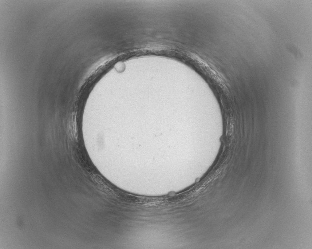 X0000115521262200912181459