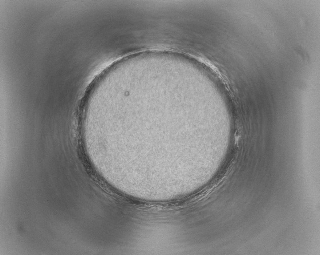 X0000115521263200912181459