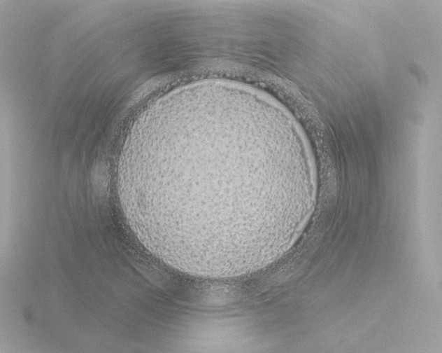 X0000115521266200912181459