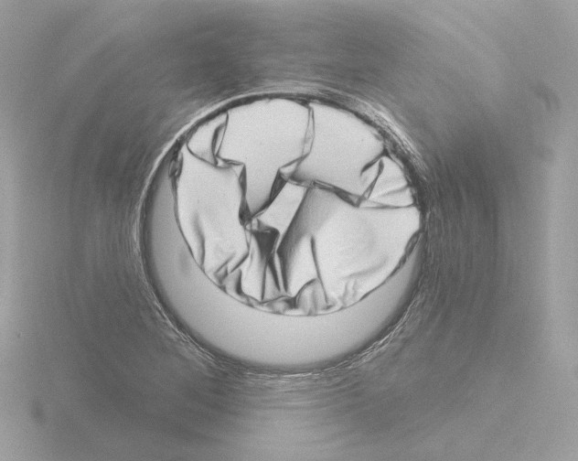 X0000115521268200912181459