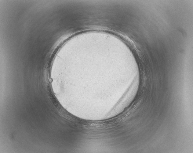 X0000115521271200912181459