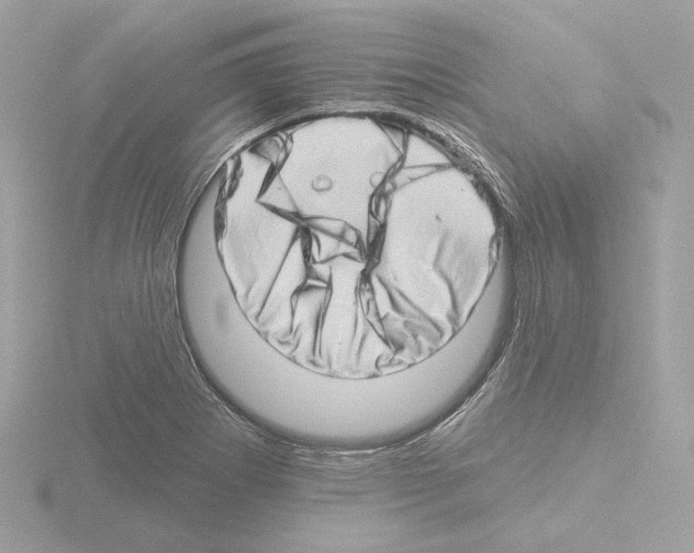 X0000115521273200912181459