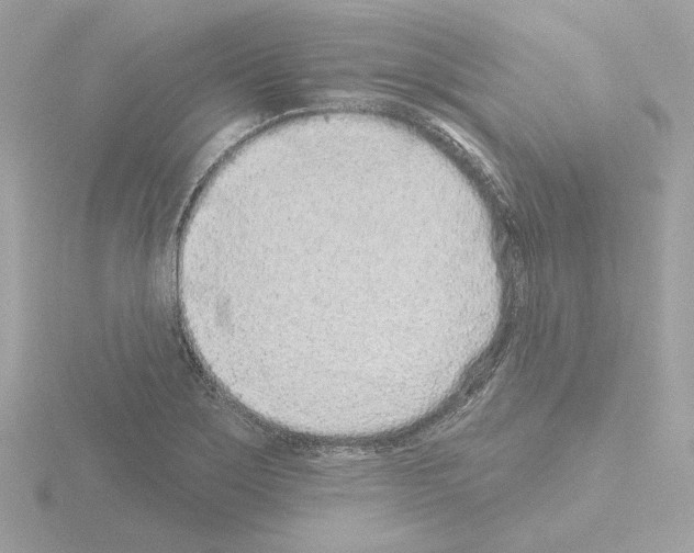 X0000115521275200912181459