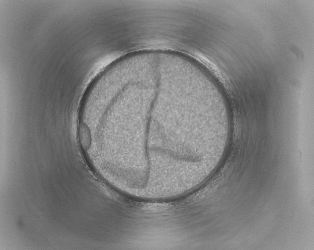 X0000115521277200912181459