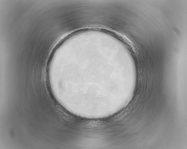 X0000115521279200912181459