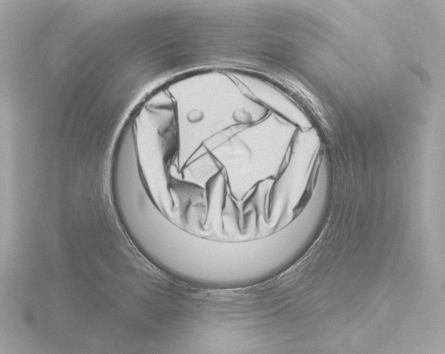 X0000115521280200912181459