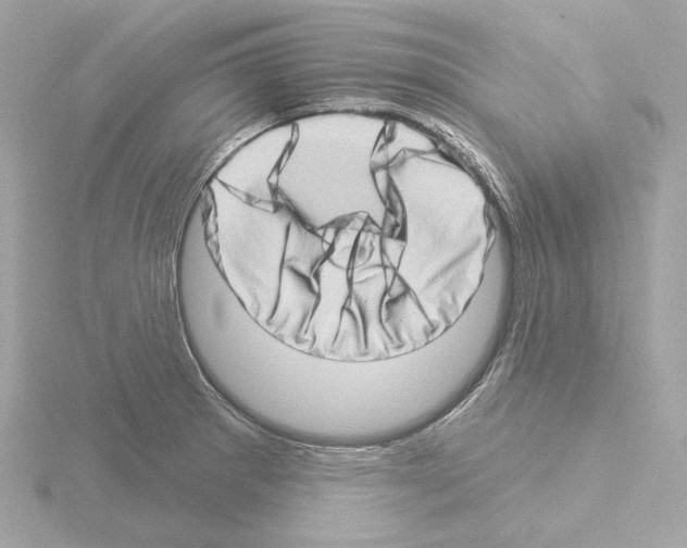 X0000115521281200912181459