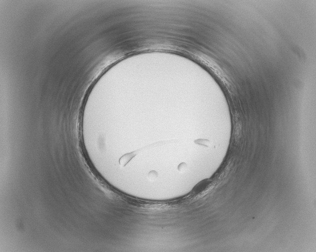 X0000115521282200912181459