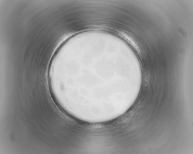 X0000115521283200912181459