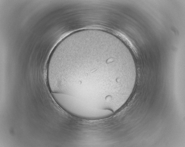 X0000115521284200912181459