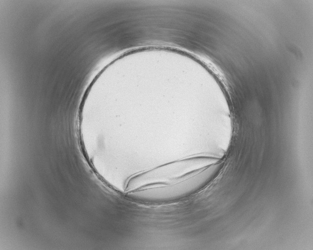 X0000115521287200912181459