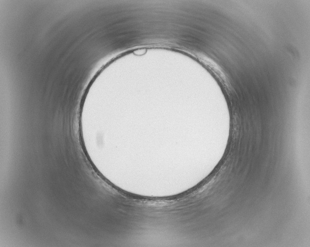 X0000115521288200912181459