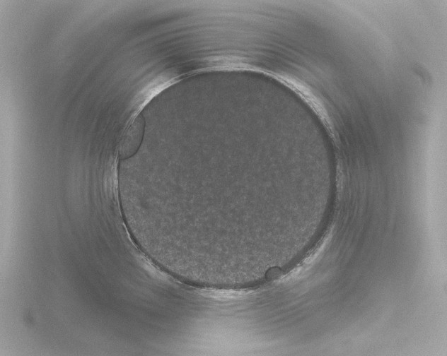 X0000115521289200912181459