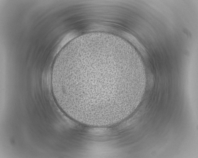 X0000115521290200912181459