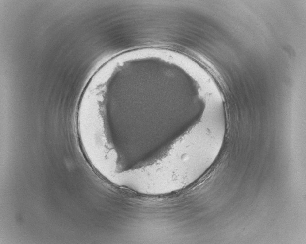 X0000115521291200912181459