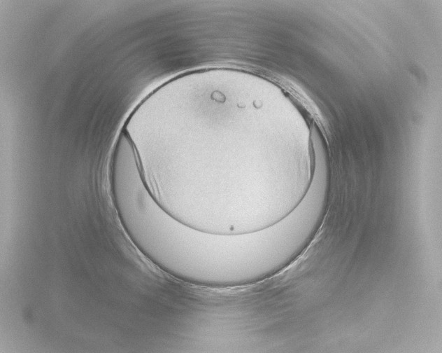 X0000115521292200912181459