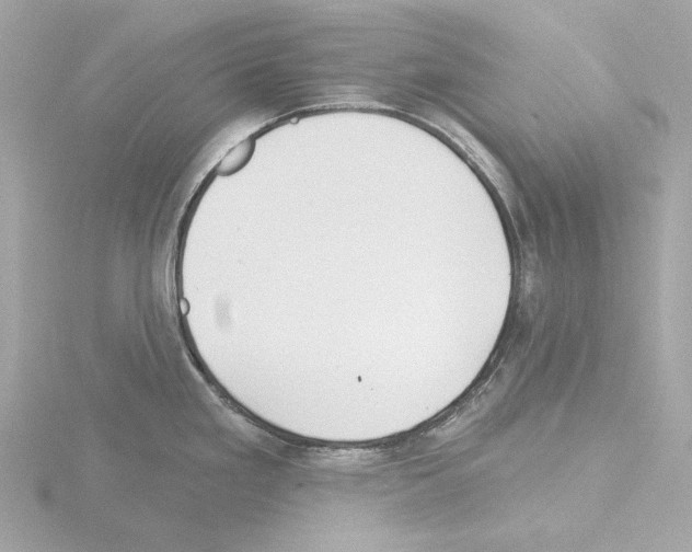 X0000115521293200912181459