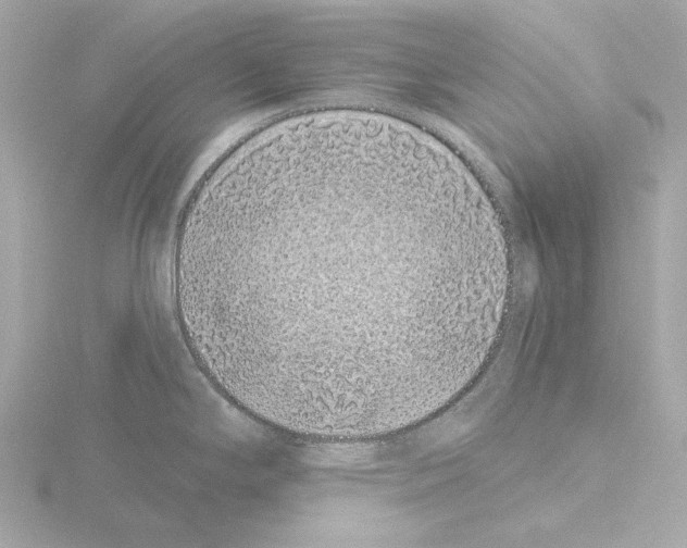 X0000115521294200912181459