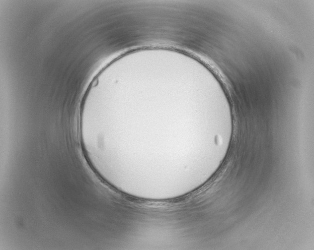 X0000115521295200912181459