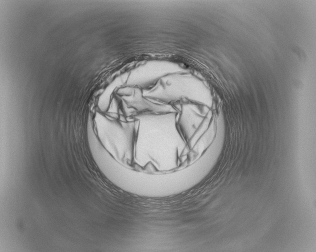 X0000115521298200912181458