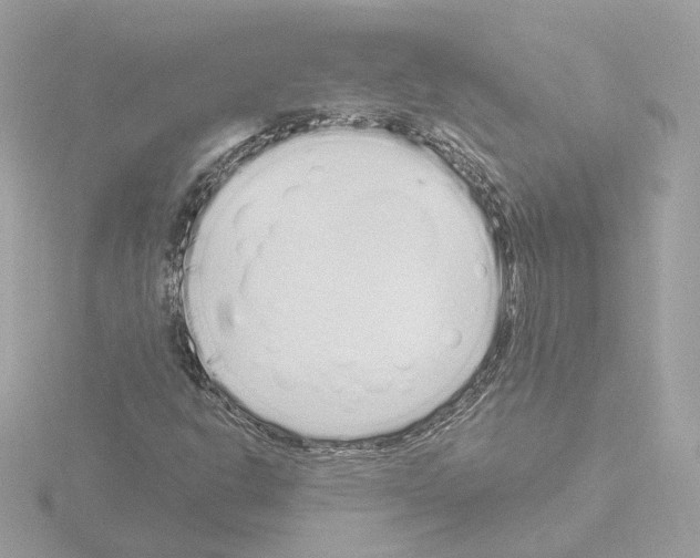 X0000115521302200912181458