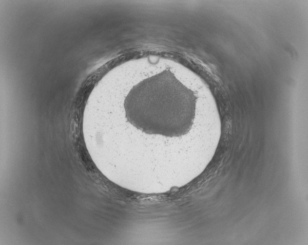 X0000115521303200912181458