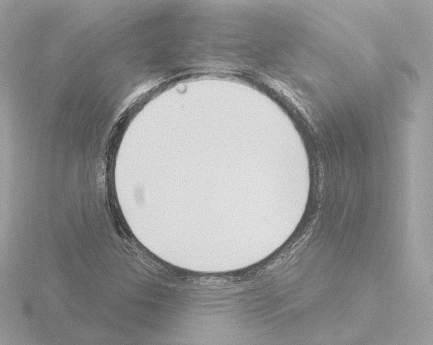 X0000115521307200912181458