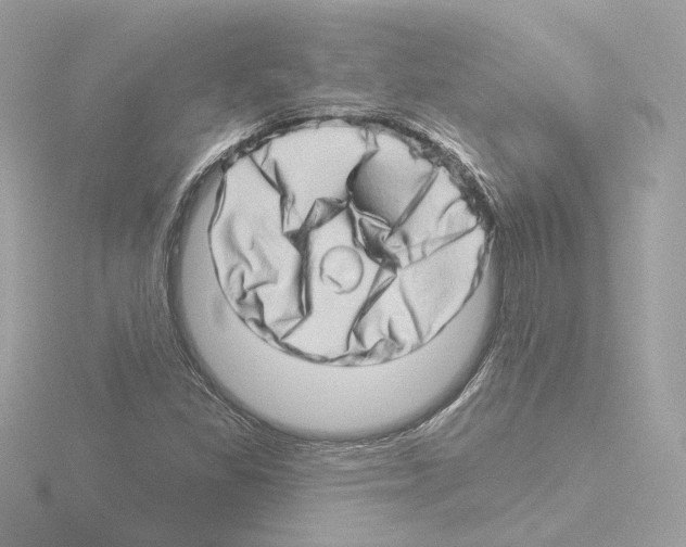 X0000115521309200912181458