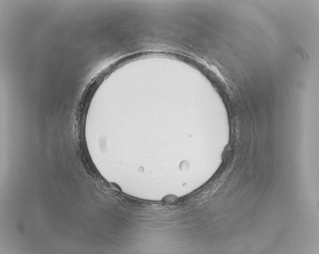 X0000115521311200912181458