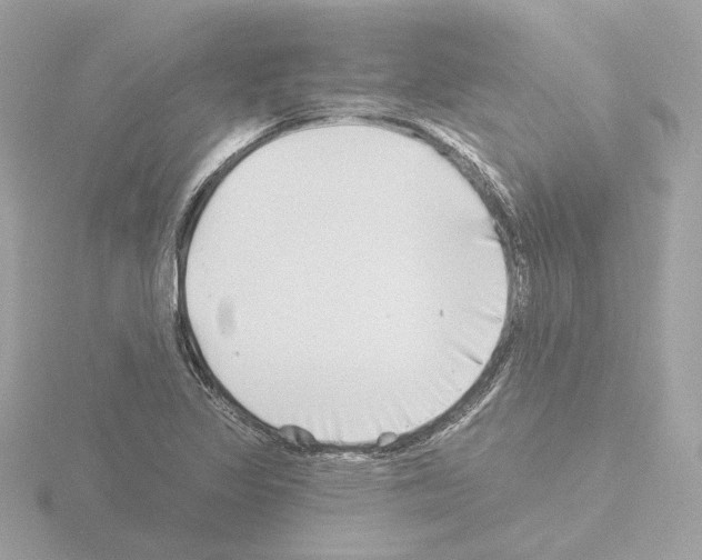 X0000115521317200912181458