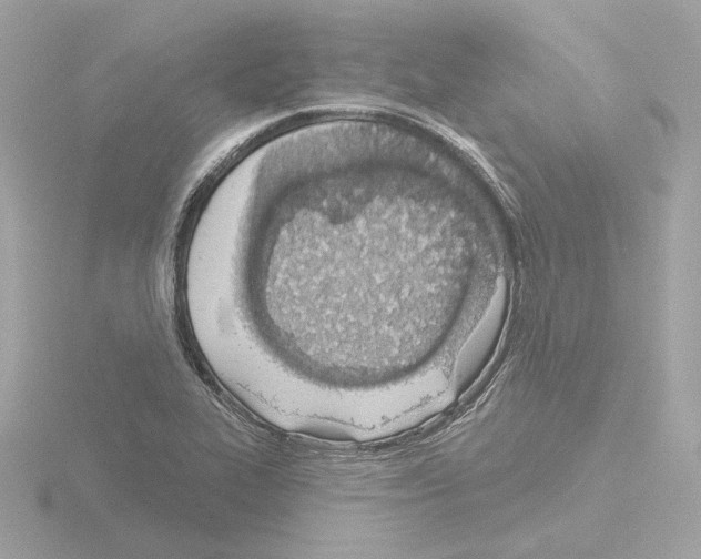 X0000115521319200912181458