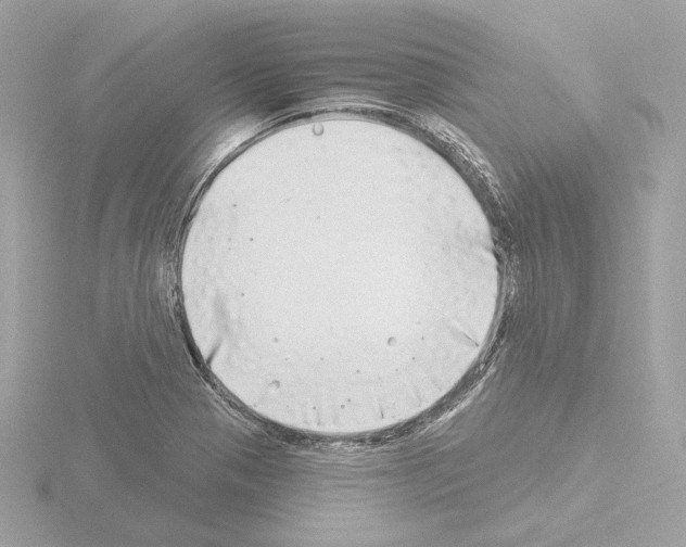 X0000115521321200912181458