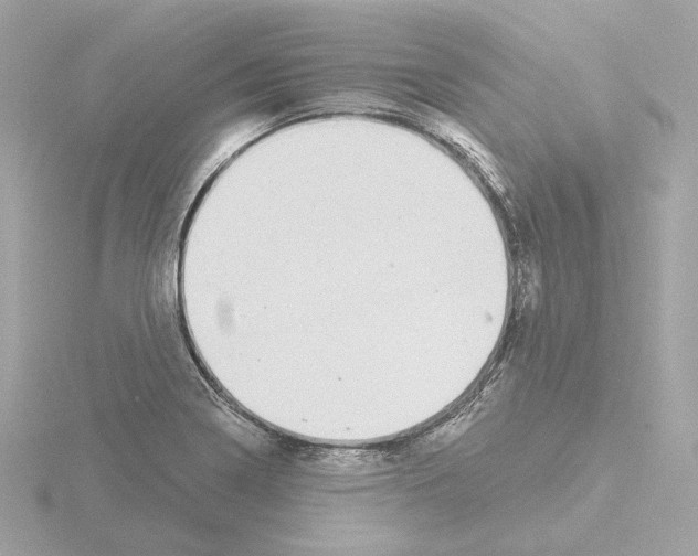 X0000115521322200912181458